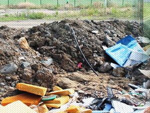 Trabzon'da sporun değeri bu mu?