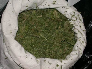 Kargo paketinden uyuşturucu çıktı