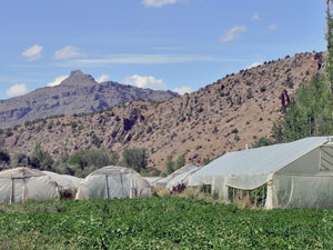 Kim demiş taşıma suyla değirmen dönmez diye!