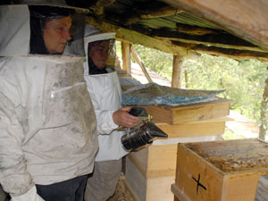 Arılara sonbahar bakımı