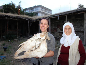 100 yıllık at başına sahip çıktı