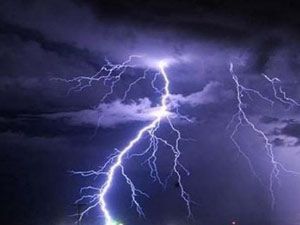 Trabzon'da yıldırım isabet eden inek telef oldu