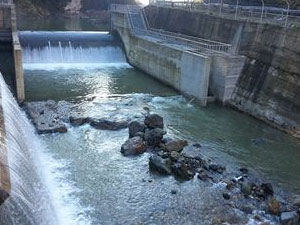 Trabzon'da can suyunu kapatmaya gözaltı!