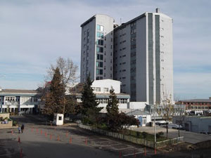 Trabzon'da sahte rapor iddiası