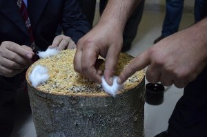 Trabzon'da alternatif geçim kaynağı!