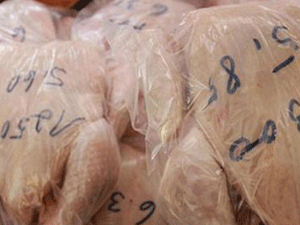 Tavuklar bakteri yuvası çıktı!