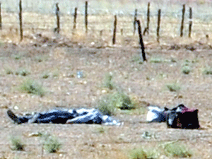 Sınırda mayın patladı!