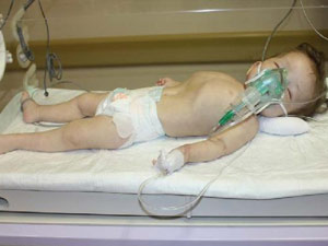 Giresunlu baba dehşeti!