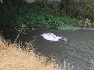 Lise öğrencisi ölü bulundu