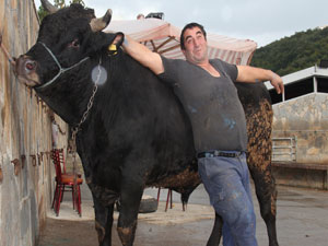 35 bin TL lik kurbanlık