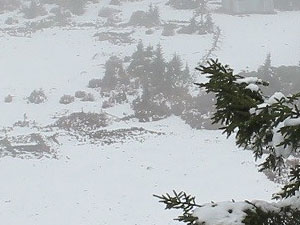 Sisdağı beyaza büründü...