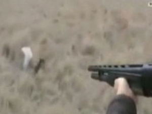 Yaraladığı domuzun saldırısına uğradı