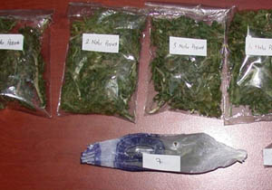 204 adet uyuşturucuyla yakalandı !