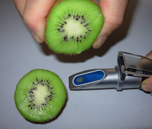 Kivi'de erken hasat konusunda uyarı geldi!