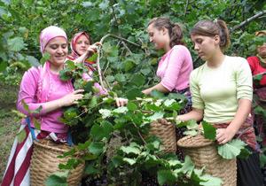 Fiskobirlikten İhracat Atılımı