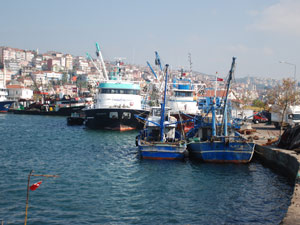 Ordulu balıkçı denize düştü ve kayboldu!