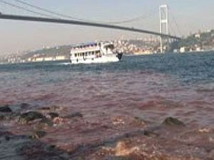 Boğaz kan gölüne döndü