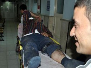 Dananın tekmesi ile bacağı kırıldı