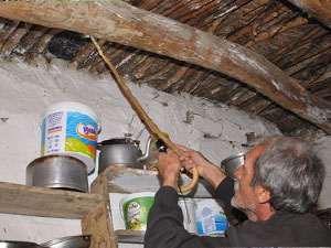 'Büyük bir korkuyla eve giriyoruz'