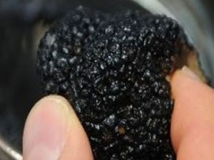 Türkiye onun için harekete geçti!