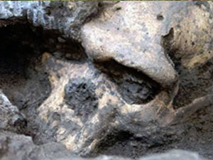 İnsanlık tarihi değiştirebilir!