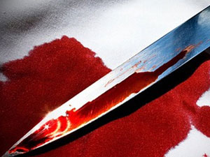 Kardeşlerin arazi kavgası kanlı bitti: 2 ölü