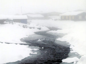Rize'de kar kalınlığı yarım metreyi geçti!
