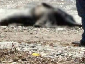 Emekli yüzbaşının sır ölümü!