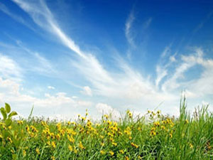 Türkiye'de en temiz hava bu illerde