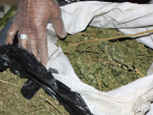 Sakarya'da uyuşturucu operasyonu