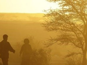 Umuda yolculuk çölde son buldu: 87 ölü