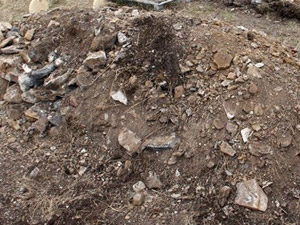 Tecavüze uğradı, gömüldüğü mezardan çıktı!