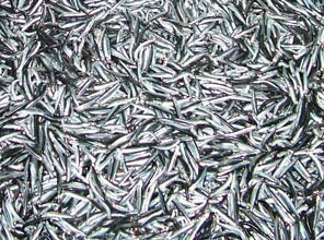 Sinop'ta 15 ton hamsi denize düştü