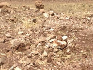 Kanalizasyon kazısında insan kemikleri bulundu