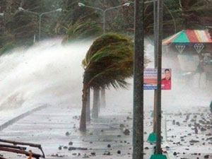 Ölü sayısı 100'ü geçti!
