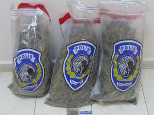 Muş’ta 7 kilo esrar ele geçirildi