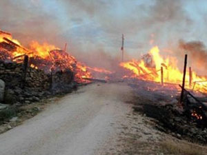 JİTEM önce kurşunladı sonra yaktı!
