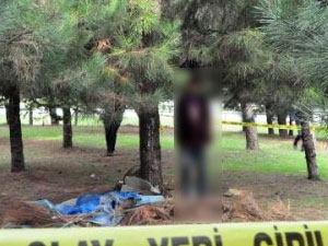 Ağaçlık alandan vahşet çıktı!