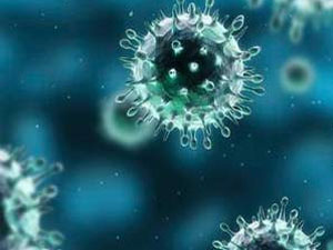 Katil virüs 63 can aldı!