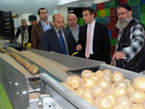 Of'ta kivi hasadı başladı