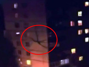 Tüm dünya bu görüntüyü konuşuyor