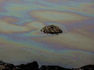 Bu felaket 47 can aldı