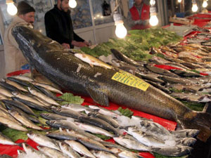 Balıkseverleri üzecek haber!