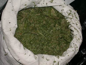 Rize emniyeti zehir tacirlerine göz açtırmıyor