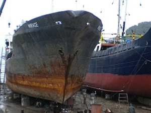 Trabzon'a büyük hizmet