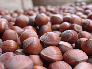 TTB'de işlem hacmi arttı