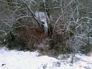 Gümüşhane'de minibüs şarampole yuvarlandı