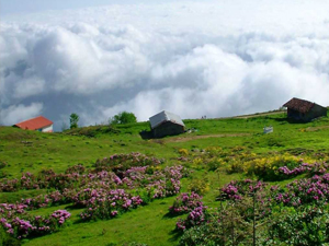 Doğu Karadeniz yaylaları için yeni proje