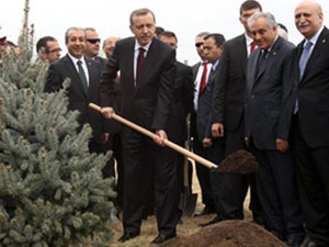 Erdoğan fidana öyle bir isim verdi ki!