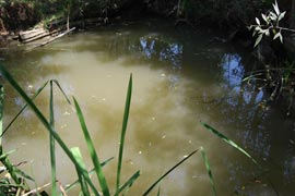 Dereye karışan kimyasallar...